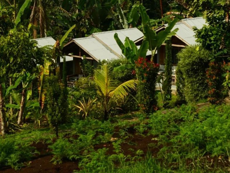The Geckos Homestay Kelimutu Kamer foto