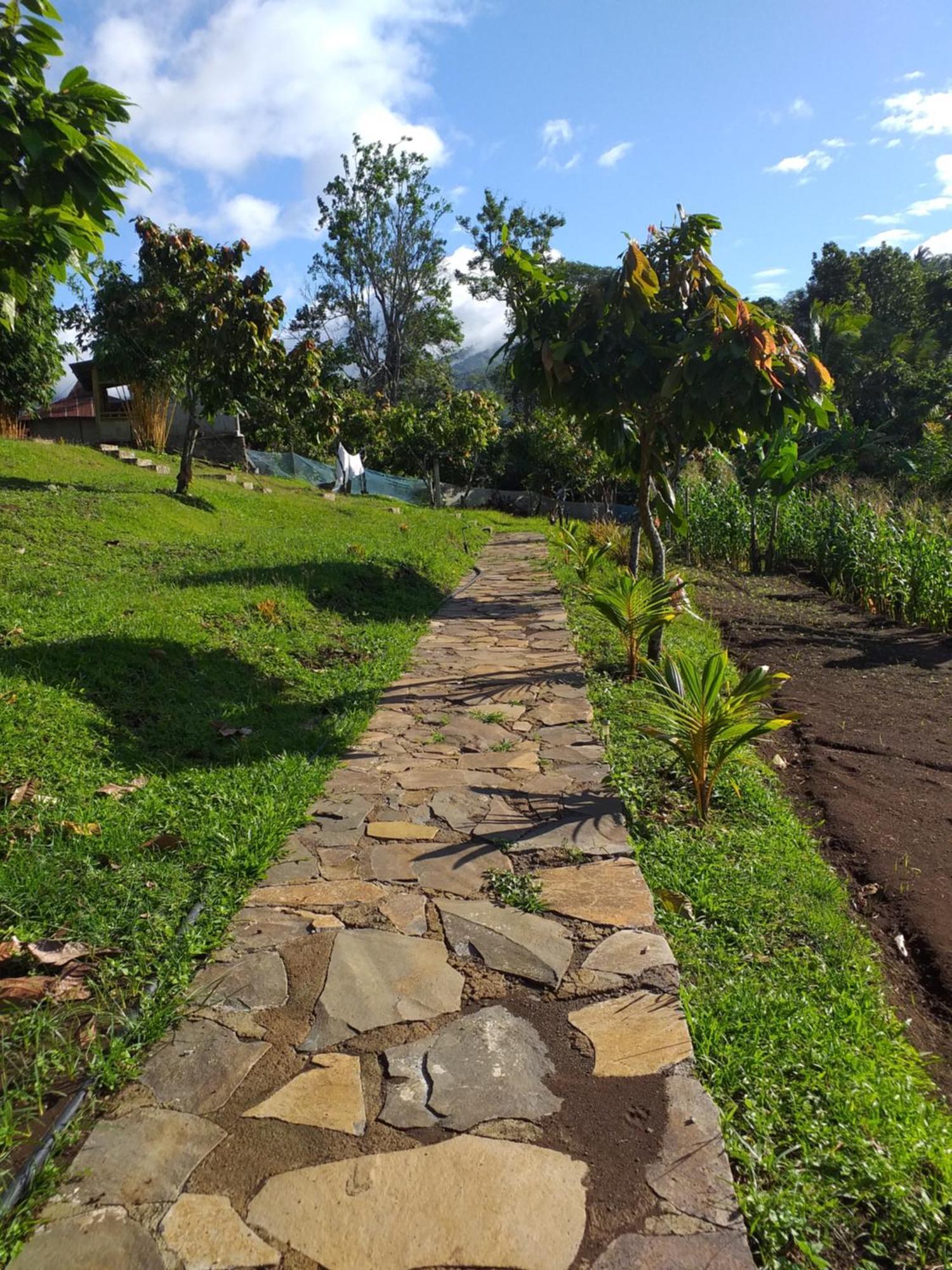 The Geckos Homestay Kelimutu Kamer foto